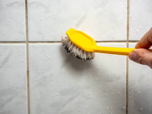 Best Affordable Mold Removal  in South Daytona, FL